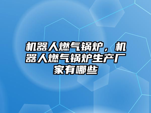 機器人燃氣鍋爐，機器人燃氣鍋爐生產(chǎn)廠家有哪些