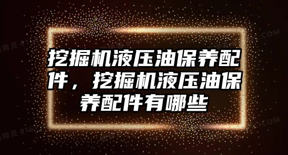 挖掘機液壓油保養(yǎng)配件，挖掘機液壓油保養(yǎng)配件有哪些