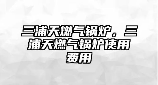 三浦天燃?xì)忮仩t，三浦天燃?xì)忮仩t使用費(fèi)用