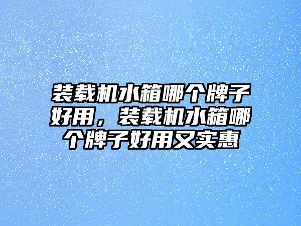 裝載機(jī)水箱哪個(gè)牌子好用，裝載機(jī)水箱哪個(gè)牌子好用又實(shí)惠