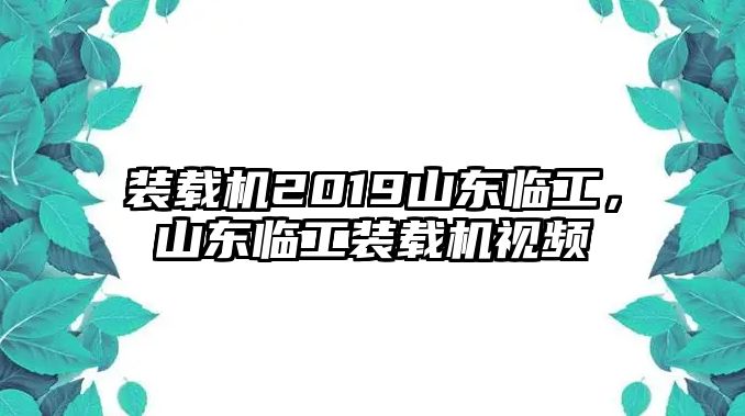 裝載機(jī)2019山東臨工，山東臨工裝載機(jī)視頻