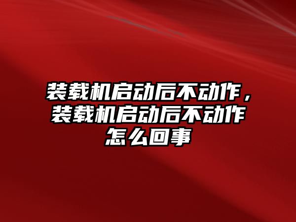 裝載機啟動后不動作，裝載機啟動后不動作怎么回事