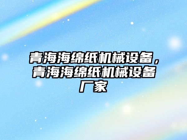 青海海綿紙機械設備，青海海綿紙機械設備廠家