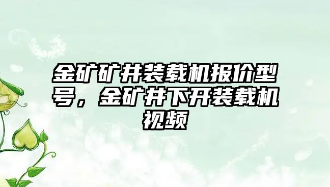 金礦礦井裝載機報價型號，金礦井下開裝載機視頻