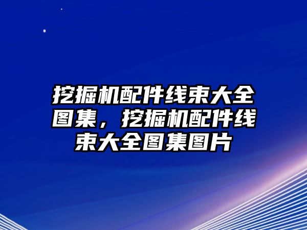 挖掘機(jī)配件線束大全圖集，挖掘機(jī)配件線束大全圖集圖片