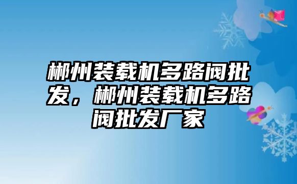 郴州裝載機(jī)多路閥批發(fā)，郴州裝載機(jī)多路閥批發(fā)廠家