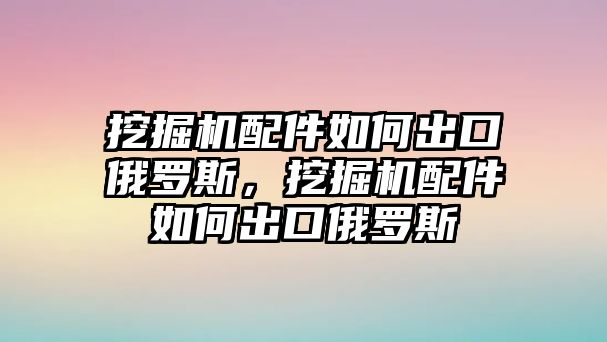 挖掘機配件如何出口俄羅斯，挖掘機配件如何出口俄羅斯