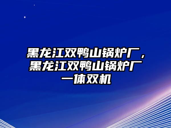 黑龍江雙鴨山鍋爐廠，黑龍江雙鴨山鍋爐廠一體雙機