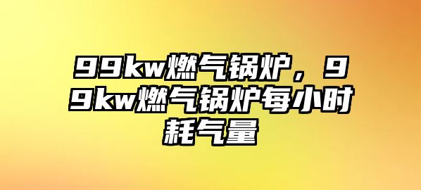 99kw燃氣鍋爐，99kw燃氣鍋爐每小時耗氣量