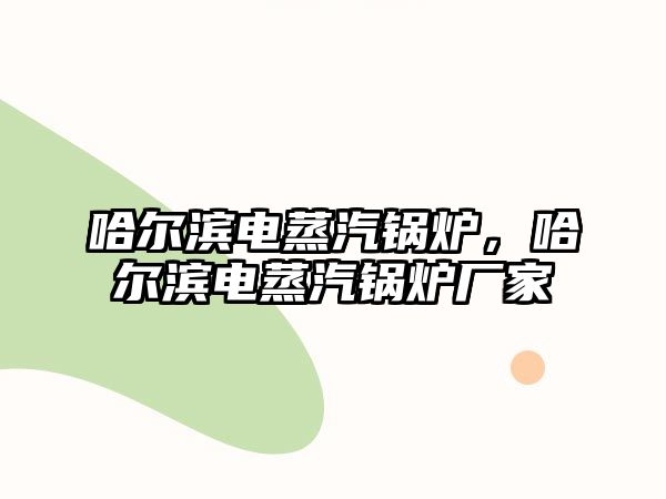 哈爾濱電蒸汽鍋爐，哈爾濱電蒸汽鍋爐廠家