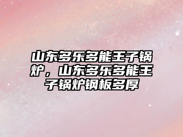 山東多樂多能王子鍋爐，山東多樂多能王子鍋爐鋼板多厚