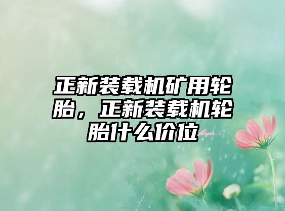 正新裝載機礦用輪胎，正新裝載機輪胎什么價位