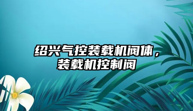 紹興氣控裝載機閥體，裝載機控制閥