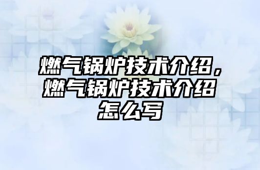 燃?xì)忮仩t技術(shù)介紹，燃?xì)忮仩t技術(shù)介紹怎么寫