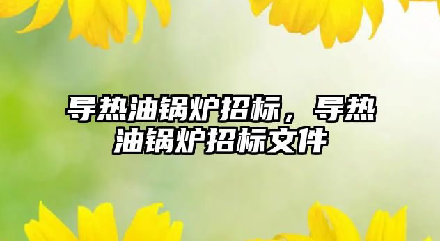 導熱油鍋爐招標，導熱油鍋爐招標文件