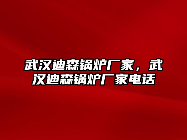 武漢迪森鍋爐廠家，武漢迪森鍋爐廠家電話