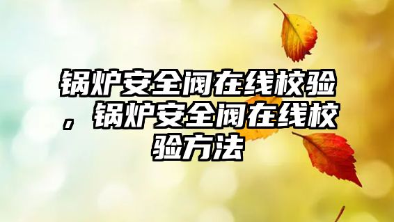 鍋爐安全閥在線校驗(yàn)，鍋爐安全閥在線校驗(yàn)方法