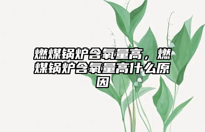 燃煤鍋爐含氧量高，燃煤鍋爐含氧量高什么原因