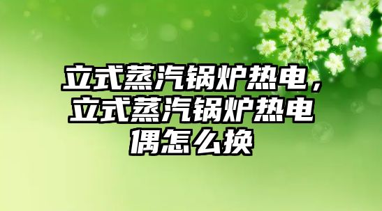 立式蒸汽鍋爐熱電，立式蒸汽鍋爐熱電偶怎么換