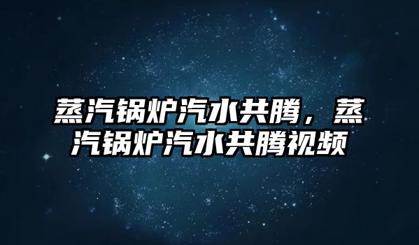 蒸汽鍋爐汽水共騰，蒸汽鍋爐汽水共騰視頻