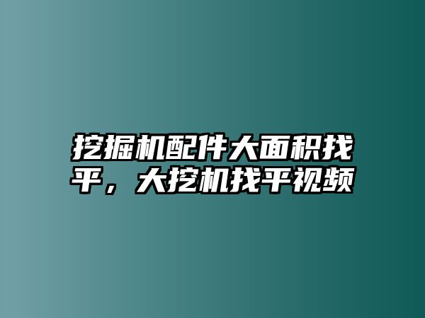 挖掘機(jī)配件大面積找平，大挖機(jī)找平視頻