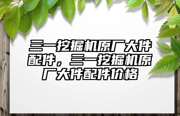 三一挖掘機原廠大件配件，三一挖掘機原廠大件配件價格