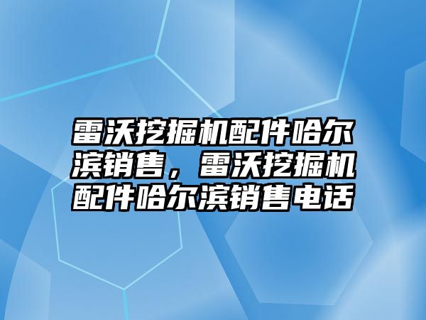 雷沃挖掘機配件哈爾濱銷售，雷沃挖掘機配件哈爾濱銷售電話