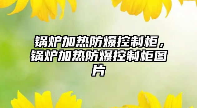 鍋爐加熱防爆控制柜，鍋爐加熱防爆控制柜圖片