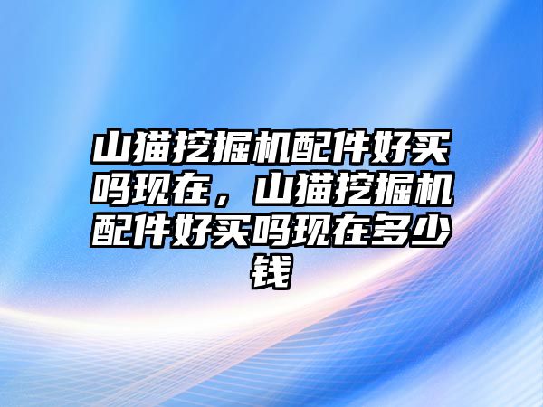 山貓挖掘機配件好買嗎現(xiàn)在，山貓挖掘機配件好買嗎現(xiàn)在多少錢