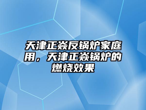 天津正焱反鍋爐家庭用，天津正焱鍋爐的燃燒效果