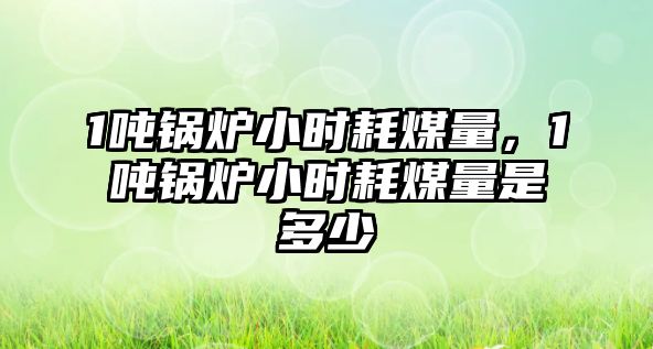 1噸鍋爐小時(shí)耗煤量，1噸鍋爐小時(shí)耗煤量是多少