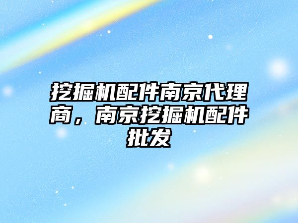 挖掘機配件南京代理商，南京挖掘機配件批發(fā)