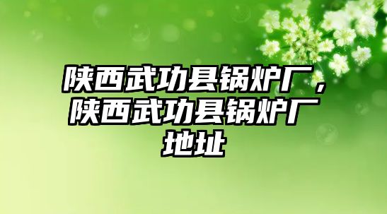 陜西武功縣鍋爐廠，陜西武功縣鍋爐廠地址