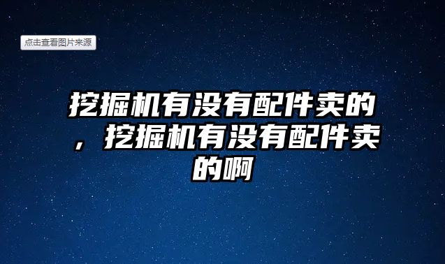 挖掘機(jī)有沒(méi)有配件賣的，挖掘機(jī)有沒(méi)有配件賣的啊