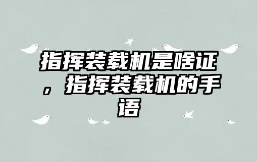 指揮裝載機(jī)是啥證，指揮裝載機(jī)的手語(yǔ)