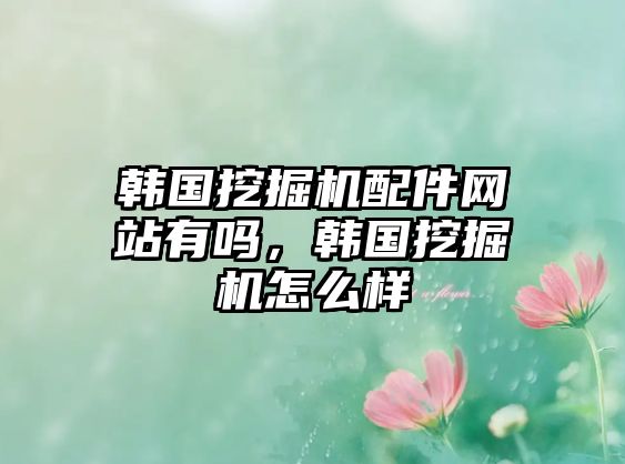 韓國挖掘機配件網(wǎng)站有嗎，韓國挖掘機怎么樣