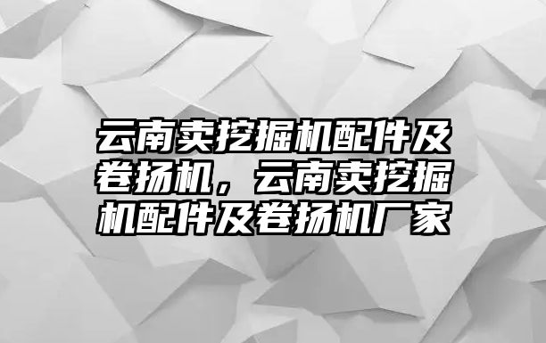 云南賣挖掘機配件及卷揚機，云南賣挖掘機配件及卷揚機廠家