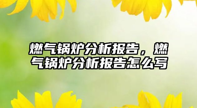 燃?xì)忮仩t分析報告，燃?xì)忮仩t分析報告怎么寫