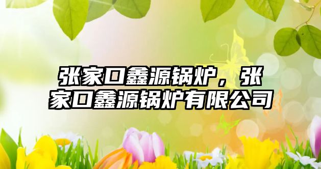 張家口鑫源鍋爐，張家口鑫源鍋爐有限公司