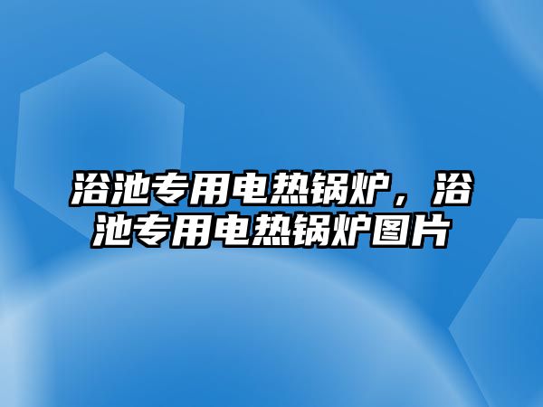 浴池專用電熱鍋爐，浴池專用電熱鍋爐圖片