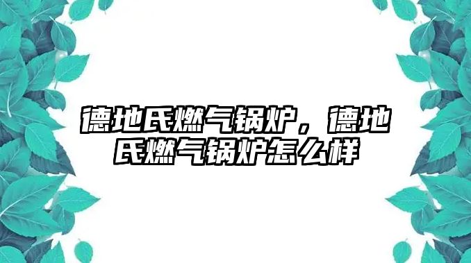 德地氏燃?xì)忮仩t，德地氏燃?xì)忮仩t怎么樣