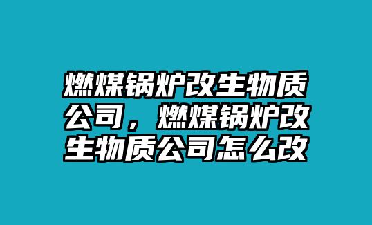 燃煤鍋爐改生物質(zhì)公司，燃煤鍋爐改生物質(zhì)公司怎么改