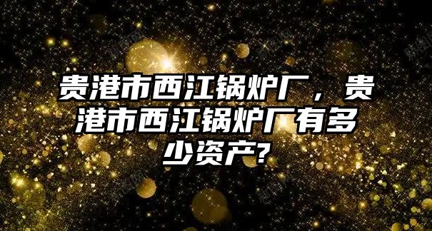 貴港市西江鍋爐廠，貴港市西江鍋爐廠有多少資產(chǎn)?