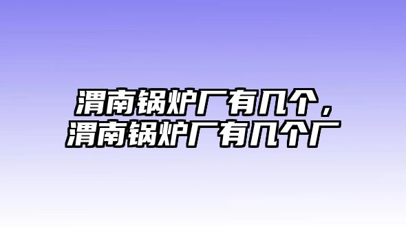 渭南鍋爐廠有幾個(gè)，渭南鍋爐廠有幾個(gè)廠