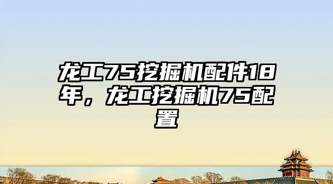 龍工75挖掘機配件18年，龍工挖掘機75配置