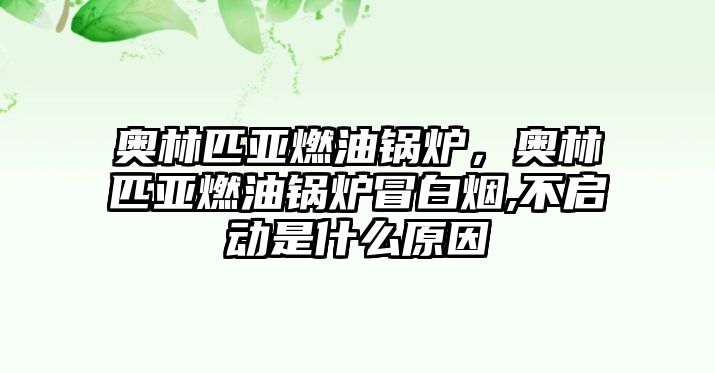 奧林匹亞燃油鍋爐，奧林匹亞燃油鍋爐冒白煙,不啟動是什么原因