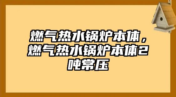 燃?xì)鉄崴仩t本體，燃?xì)鉄崴仩t本體2噸常壓