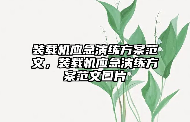 裝載機應(yīng)急演練方案范文，裝載機應(yīng)急演練方案范文圖片