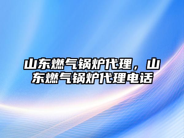 山東燃?xì)忮仩t代理，山東燃?xì)忮仩t代理電話