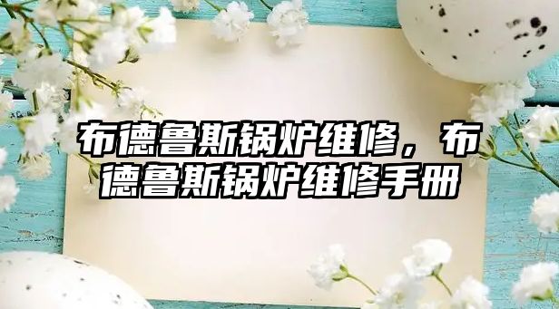 布德魯斯鍋爐維修，布德魯斯鍋爐維修手冊